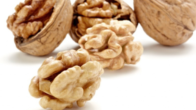 new-noci-PIC-1024x683.jpg - nucisitalia.it