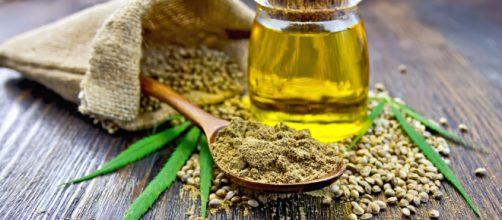 Qu&eacute; ocurre realmente en nuestro cuerpo cuando consumimos cannabis