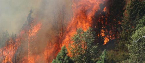 The Rim Fire in the Stanislaus National Forest near California [Image source: Mike McMillan - Wikimedia Commons]