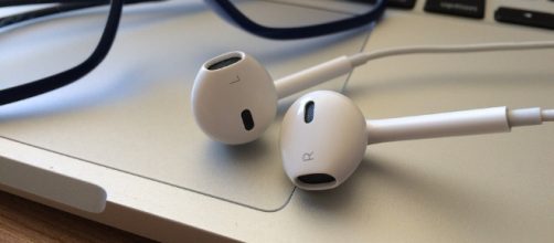 There are plenty of political podcasts available for your enjoyment. [image source: Pixabay/maurosegura]