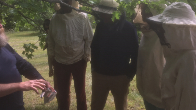 Cette initiative de La R&eacute;publique En Marche, pour sauver les abeilles, compl&egrave;te les formations initi&eacute;es par l'Abeille Ard&eacute;choise et Dr&ocirc;moise