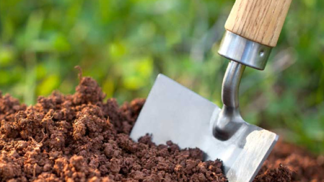 Concimi naturali per piante e orto: eccone alcuni