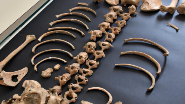 Parco Archeologico di Pompei, trovato lo scheletro di un bambino negli scavi