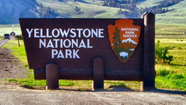 Parco Nazionale di Yellowstone