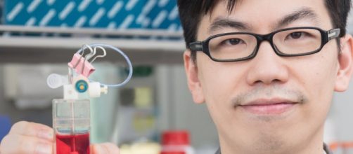 Clon del propio coraz&oacute;n para pruebas de ensayo de nuevos medicamentos