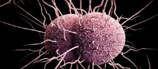 La gonorrea es una enfermedad bacteriana que afecta a millones de personas anualmente a nivel mundial