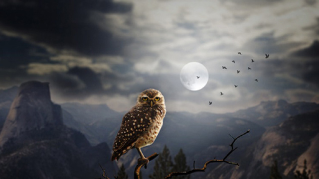 Oroscopo di domani 4 maggio 2018: cosa regaler&agrave; la nuova Luna in Capricorno? In primo piano l'arrivo del famigerato 'venerd&igrave; nero'