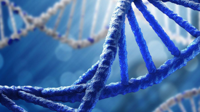 Scoperta una nuova struttura del Dna: la struttura a quattro eliche