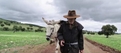 Donkeyote &bull; DocsVal&egrave;ncia - docsvalencia.com