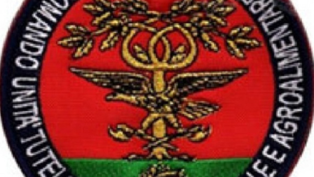 Concorso Arma dei Carabinieri ruolo Forestale: domanda a maggio 2018