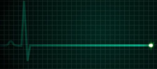 Alerta en la cocina: alimentos comunes que son venenosos