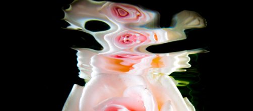 Eiko Jones is heavily inspired by nature. / Image via Eiko Jones, used with permission.