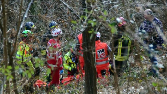 Calabria: travolto da un albero che stava tagliando (foto di repertorio)