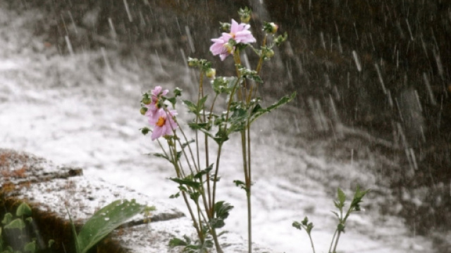 La pioggia roviner&ograve; il ponte del primo maggio