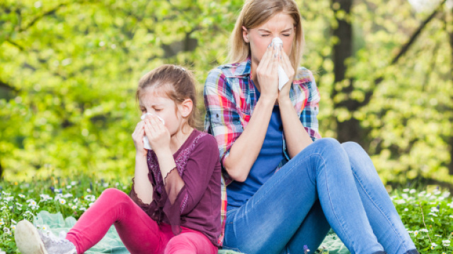 Sintomi allergia graminacee, aria di primavera. - sinuset.com