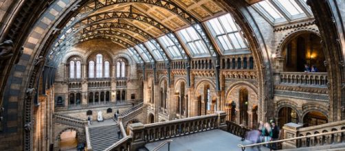 What our past can tell us - Image credit - Barney Moss | Flickr