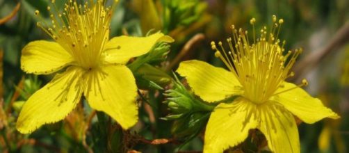 Inked-IN &ndash; Hip&eacute;rico - inkedin.eu