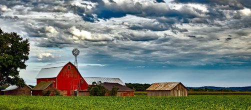 US farmers are worried they will lose their homes and businesses as they play the pawns in Trump's tariff chess game. (Image via Pixabay/12019)