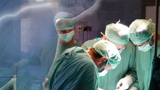 Teoria dei microtubuli e coscienza umana