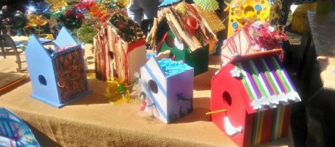 L'Istituto Professionale Giorgi di Lucca presente a Verdemura