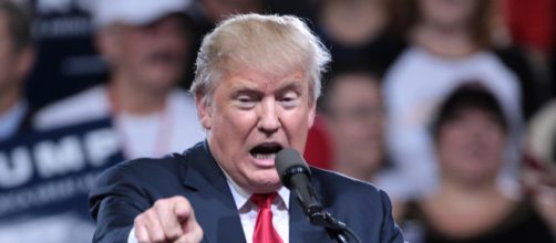 Donald Trump. - [Gage Skidmore via Flickr]