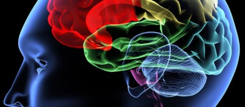 Mitos psicol&oacute;gicos desmentidos