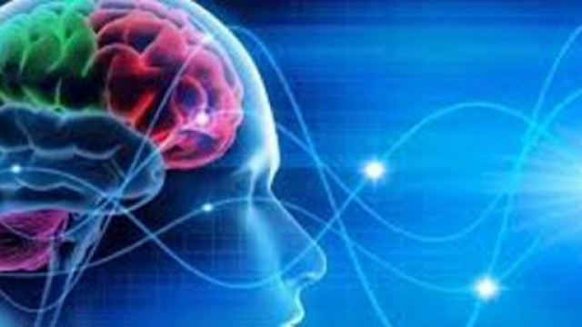 Una ricerca sostiene che anche negli anziani continua la produzione di neuroni