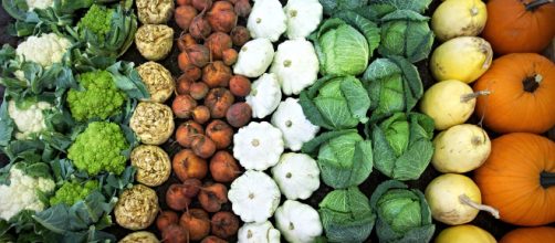 Vegetable that alkalize your body [Image via Anyt Havaub/Youtube]