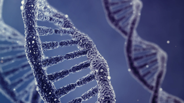 codice genetico delle cellule del cancro