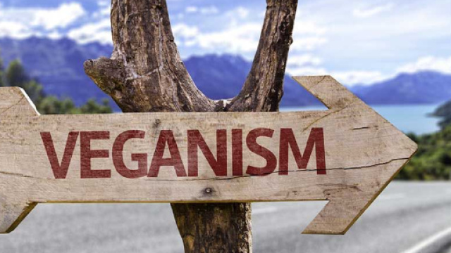Definizione di veganismo (o veganesimo) - Filosofia vegana - filosofiavegana.it