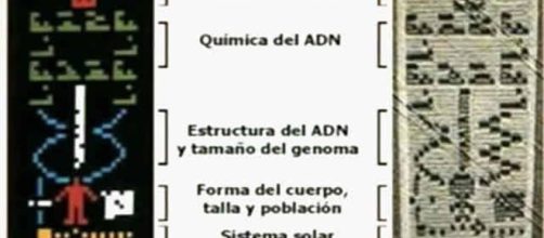 Noticias cientificas y curiosas - - galeon.com