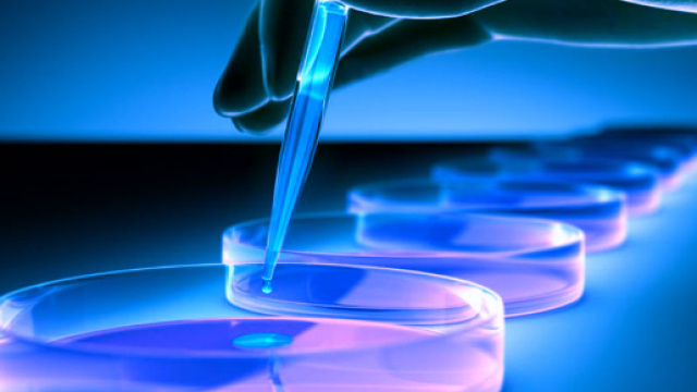 La produzione certificata di cellule staminali