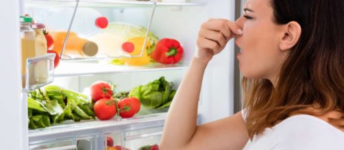 Aprende c&oacute;mo eliminar los malos olores de tu refrigerador