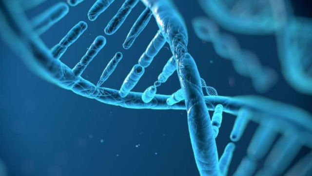 The first genetically engineered humans might not have their DNA ... - popsci.com