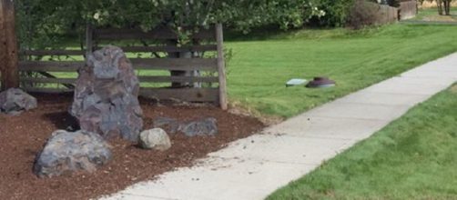 A path to take. - [Image Via Ryan DeVault]