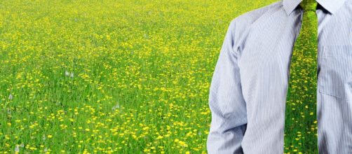 Consultor&iacute;a Ambiental - Temas Ambientales - temasambientales.com