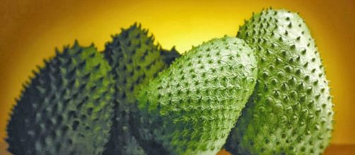 La guan&aacute;bana cura diversas enfermedades y previene el c&aacute;ncer - diapordiamesupero.com