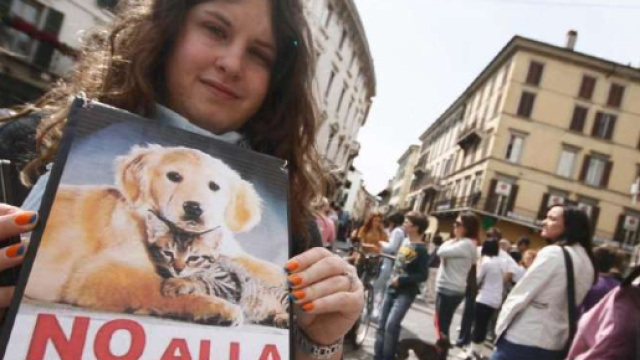 Vivisezione ed esperimenti sugli animali: l'Italia rischia la ... - ecoo.it