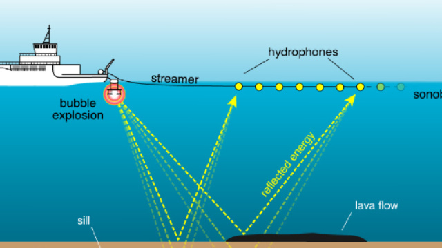 Airgun: bombe per trovare petrolio sotto il mare STANNO UCCIDENDO ... - italianosveglia.com
