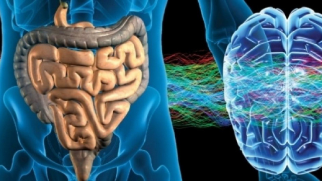 Ansia e stress: i fermenti lattici contenuti in yogurt e ... - blastingnews.com