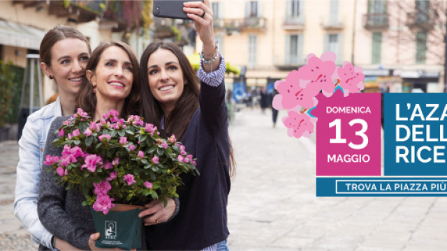 Festa della mamma, l'azalea della ricerca anche a Latina &ndash; Luna ... - radioluna.it