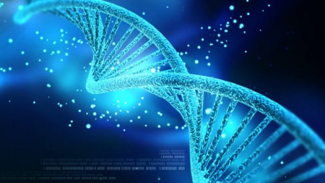 La ricerca sul DNA porter&agrave; l'essere umano all'immortalit&agrave;?