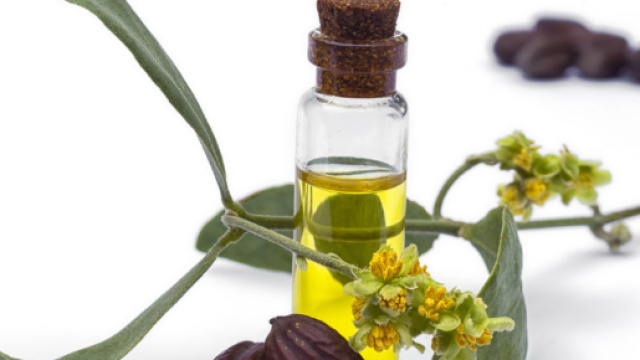 L'olio di jojoba funziona davvero contro acne e cicatrici?