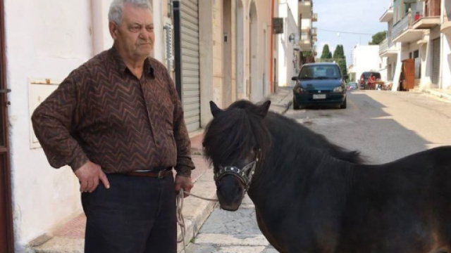 Pony &egrave; animale domestico: Tar annulla ordinanza comunale