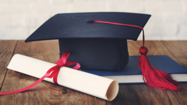 La laurea vale quanto un diploma nel mondo del lavoro nella scuola?