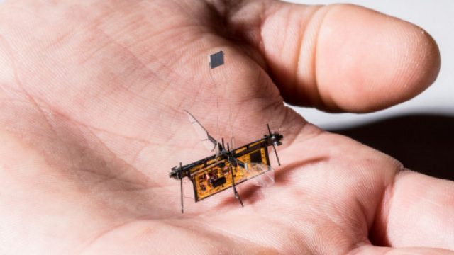 RoboFly, drone-insetto alimentato da un laser a distanza