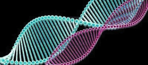 Descubren una nueva forma de ADN en las c&eacute;lulas humanas vivas - clarin.com