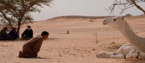 La voz de los sin voz 2018 | La Casa Encendida - lacasaencendida.es