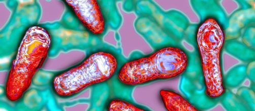 La enfermedad es una intoxicaci&oacute;n producida por la neurotoxina de Clostridium botulinum