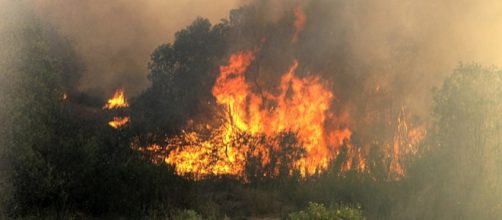 The Tomahawk wildfire destroys homes and personal property in Pendleton, Calif (Image credit &ndash; Tyler Gregory, Wikimedia Commons)